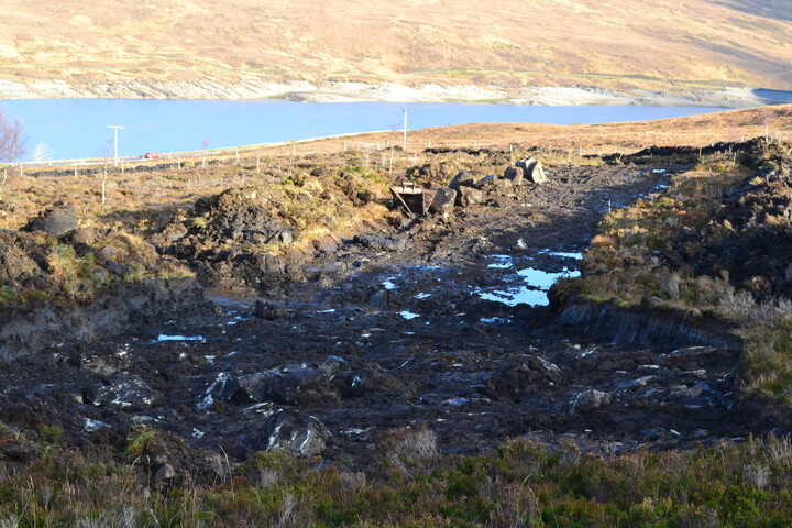 EHG3746_3.JPG