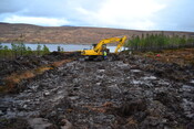 EHG3746_5.JPG