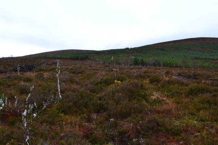 EHG3746_6.JPG