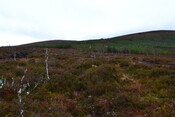 EHG3746_6.JPG