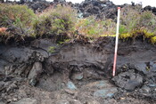 EHG3746_7.JPG