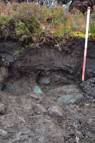 EHG3746_8.JPG