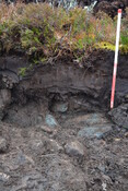EHG3746_8.JPG