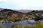 EHG3746_12.JPG
