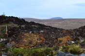 EHG3746_13.JPG