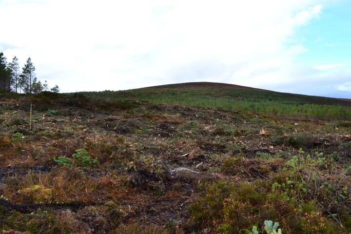 EHG3746_20.JPG