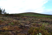 EHG3746_20.JPG