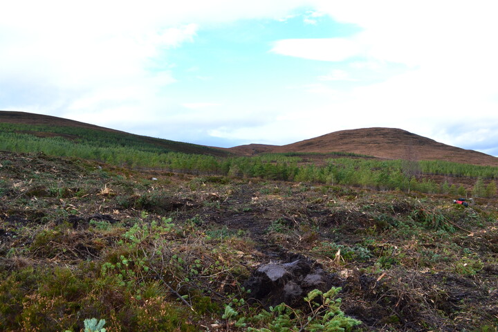 EHG3746_21.JPG