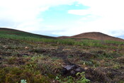 EHG3746_21.JPG