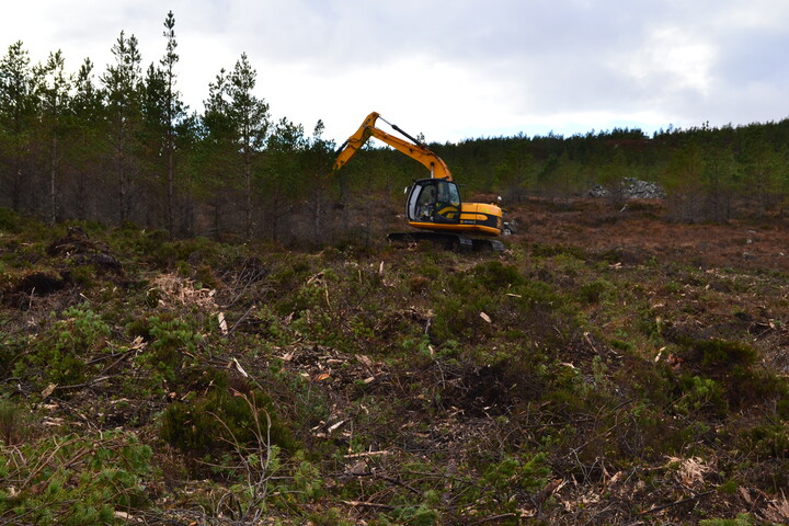 EHG3746_22.JPG
