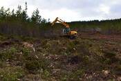 EHG3746_22.JPG