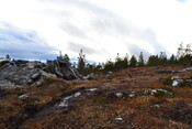 EHG3746_24.JPG
