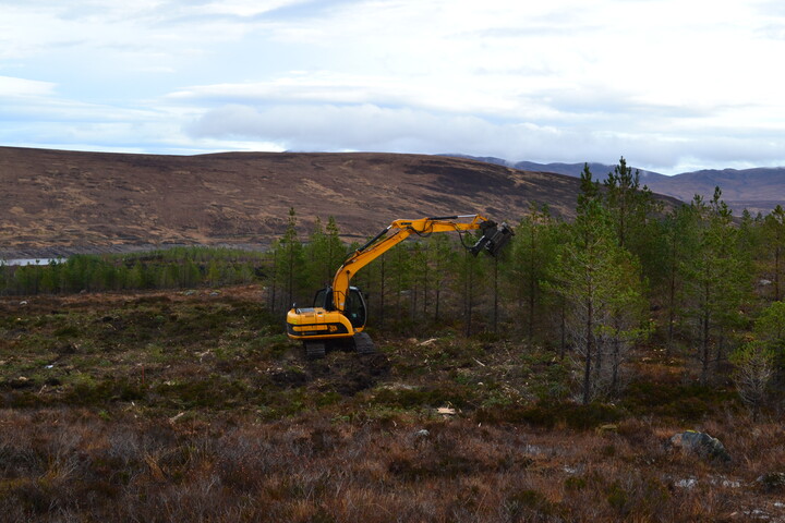 EHG3746_27.JPG