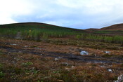EHG3746_29.JPG