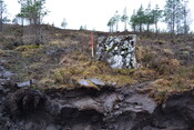 EHG3746_39.JPG