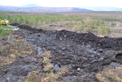 EHG3746_42.JPG