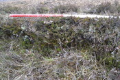 EHG3746_48.JPG