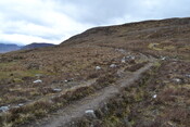EHG3746_49.JPG