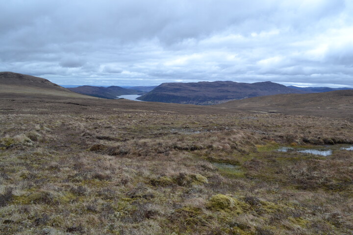 EHG3746_50.JPG