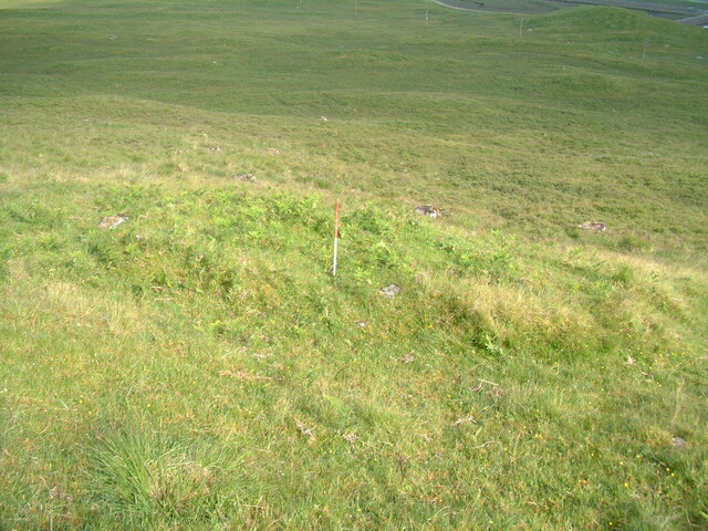 EHG3753_6.JPG