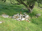 EHG3753_7.JPG