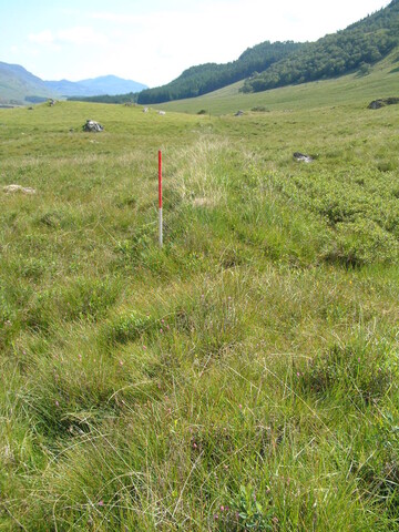 EHG3753_14.JPG