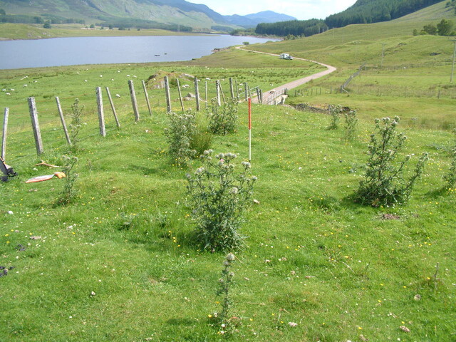 EHG3753_15.JPG
