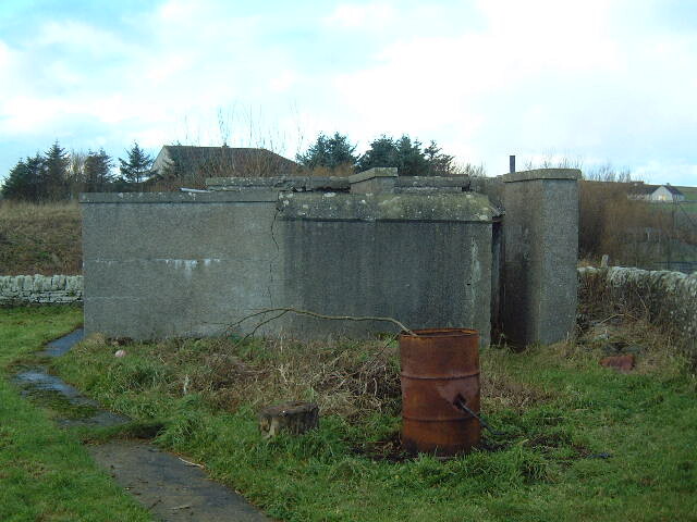 dunnet2.jpg