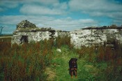 20070111104819_00006.jpg