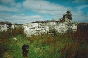 20070111104819_00007.jpg