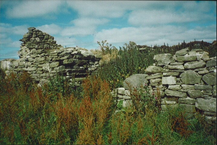 20070111104819_00011.jpg
