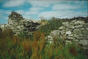 20070111104819_00011.jpg