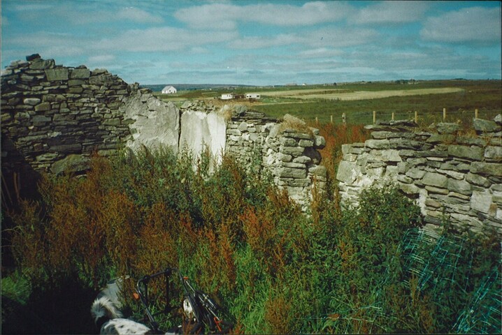 20070111104819_00016.jpg