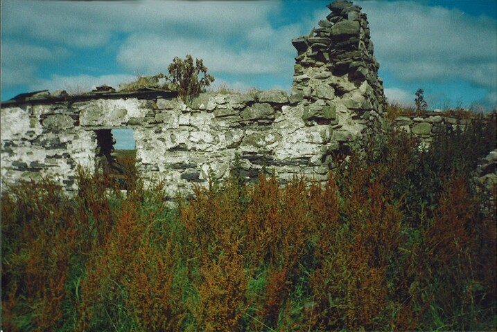 20070111104819_00024.jpg