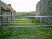 008_8.JPG
