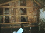 037_37.JPG