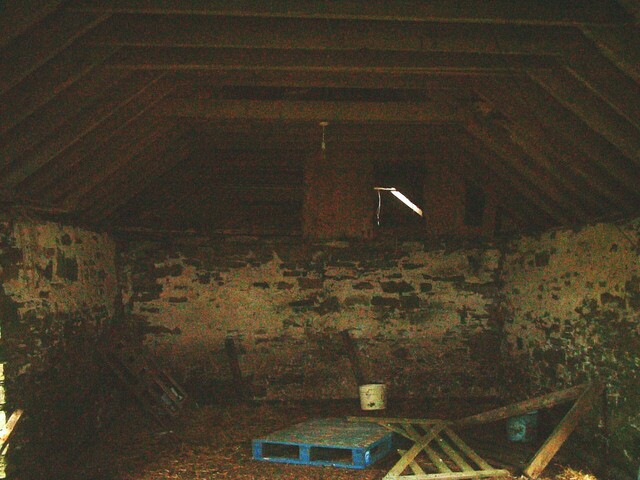 039_39.JPG