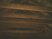 041_41.JPG