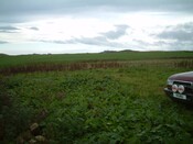 044_44.JPG