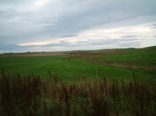 045_45.JPG