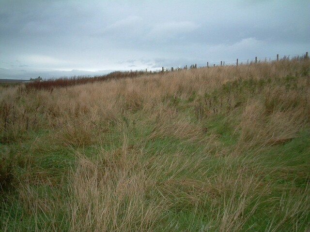 047_47.JPG