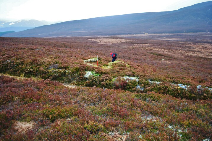 EHG3754_2.JPG