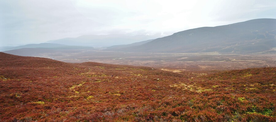 EHG3754_3.jpg