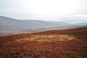 EHG3754_4.JPG