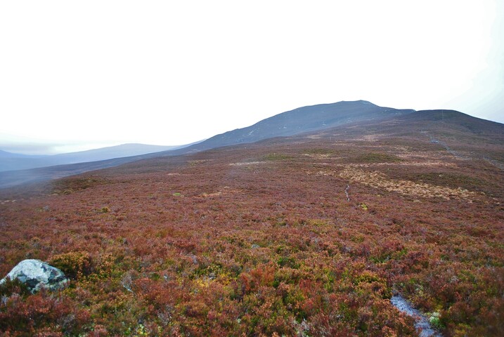 EHG3754_5.JPG