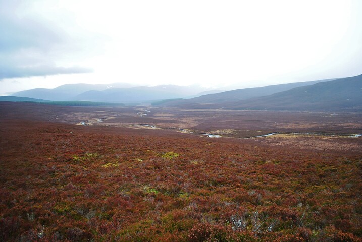 EHG3754_6.JPG