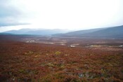 EHG3754_6.JPG