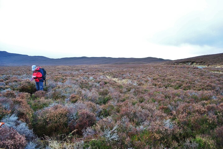 EHG3754_10.JPG