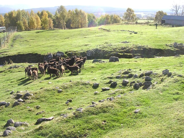 EHG3758_1411.JPG