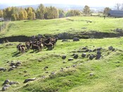 EHG3758_1411.JPG